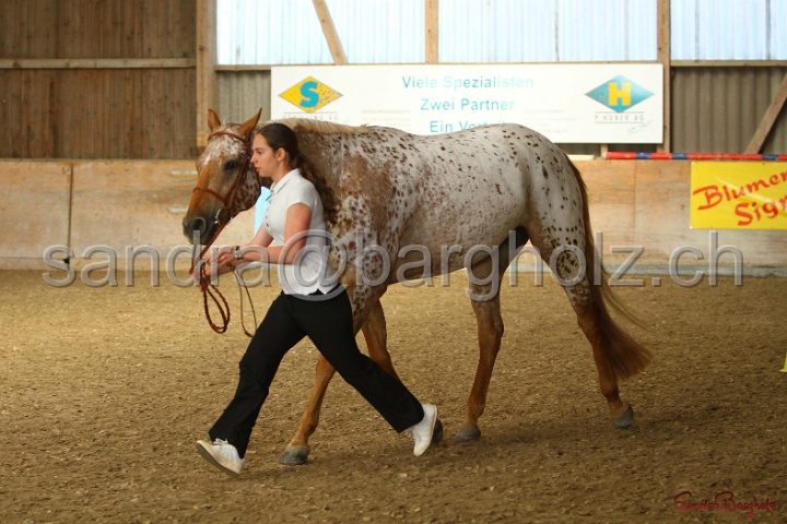 24-ApHC HIH_060.jpg